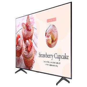 BizTV 43 Inch -  BE43T-H