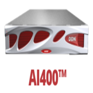 DDN AI400X-88TB