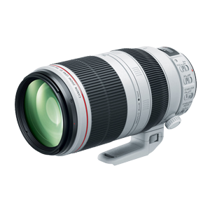 Lens EF Extender 2X III