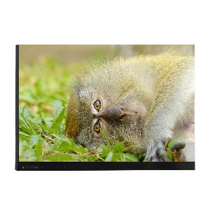 65-inch Interactive Flat Panel IS-65OPS