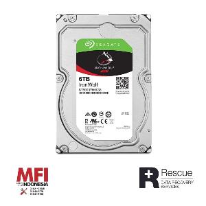 Seagate Harddisk Internal Ironwolf 3,5inch 6Tb