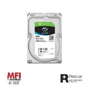 Seagate Harddisk Internal Skyhawk 3,5inch 6Tb