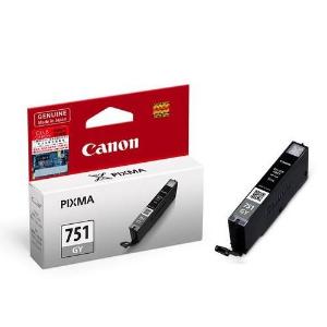 Ink Cartridge CLI-751 Gray
