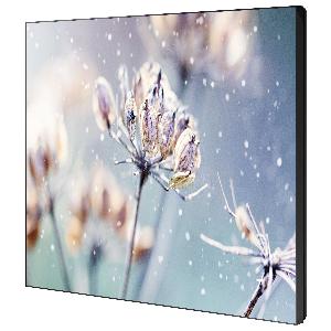 Video Wall 46 Inch - VM46R-U